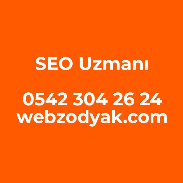 SEO Uzmanı